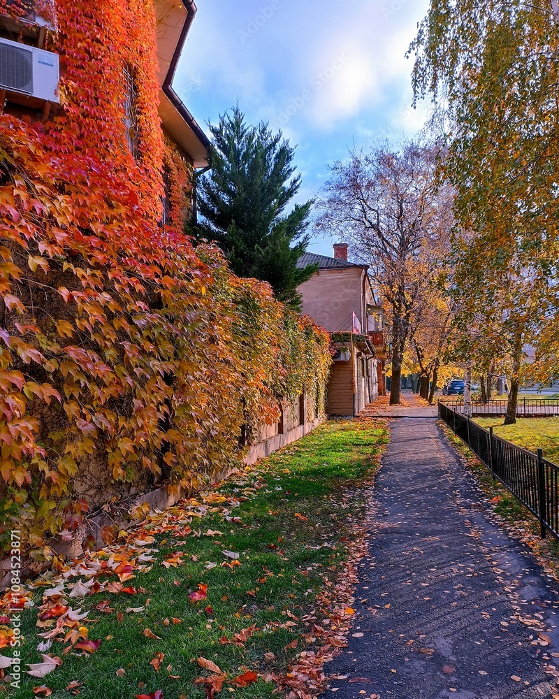 Obraz premium autumn in the park