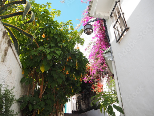 View of Tangier old city 