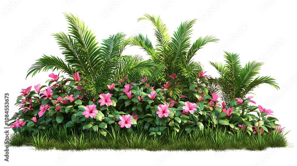 Fototapeta premium Lush green tropical plant with pink flowers, isolated shrub with clipping path, nature border