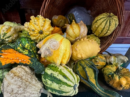 Calabazas coloridas, varios tipos, cosecha colorida photo