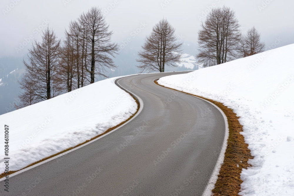 A snow covered road with trees in the background A snow covered road with trees in the background