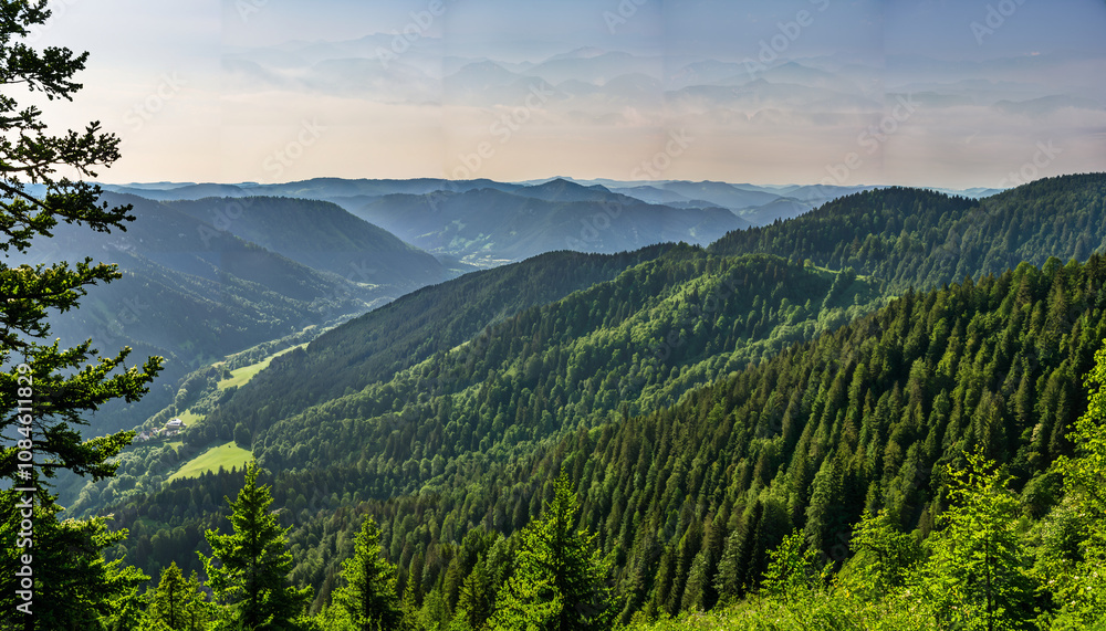 Fototapeta premium Vue panoramique sur la vallée verdoyante