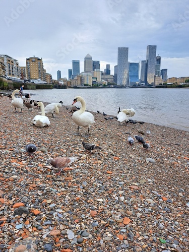 Scenic Park Views and Urban Landscapes in Canary Wharf London