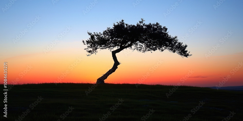 Silhouetted Tree Against a Vivid Sunset Sky Silhouetted Tree Against a Vivid Sunset Sky