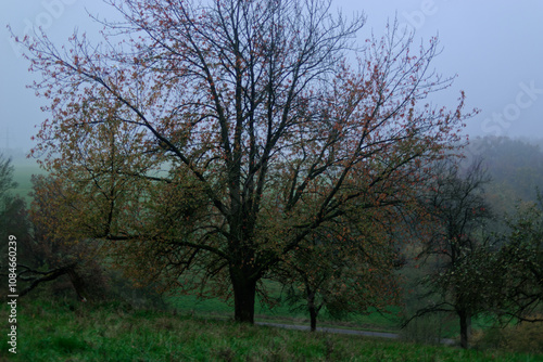 Fog outside the city on a cloudy autumn day in Bavaria.