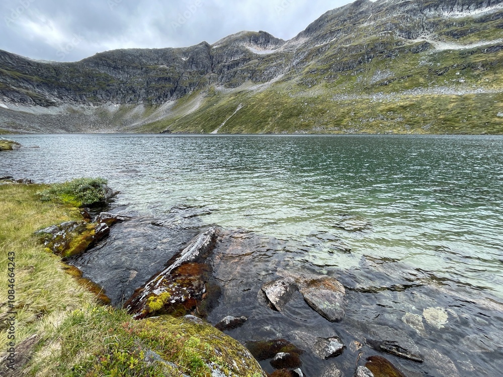 Fototapeta premium Norwegian nature