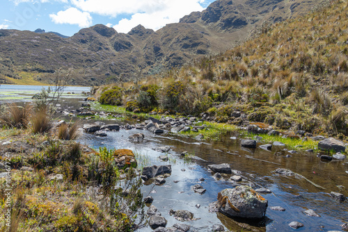 The stream at El Cajas National Park in the Ecuadorian Andes. Lake (lagoon) Togllacocha at 4,000 m above sea level. Paramo ecosystem. 