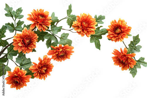 Garland chrysanthemum isolated png on a transparent background