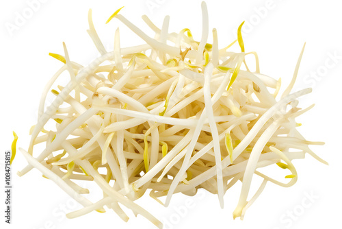Bean Sprouts isolated png on a transparent background