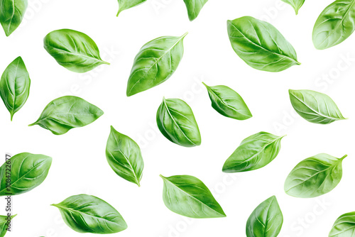 Basil leaves isolated png on a transparent background