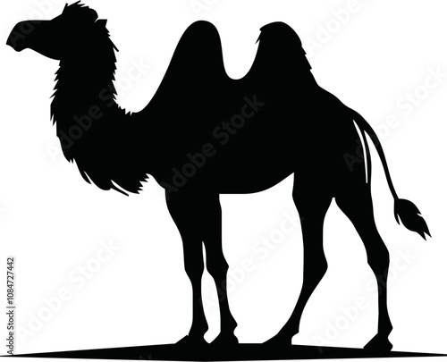 Camel. Black silhouette of a walking camel isolated on a white background. Hand-drawn illustration
