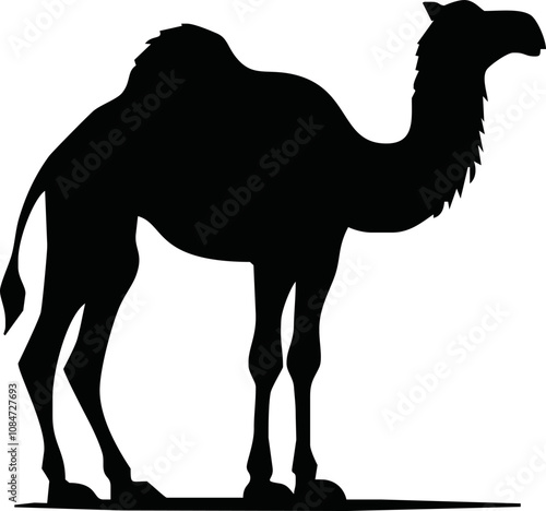 Camel. Black silhouette of a walking camel isolated on a white background. Hand-drawn illustration