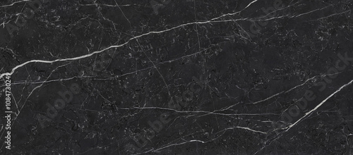 Creative pattern stone ceramic wallpaper design. Black stone and veins.