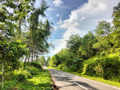 Beautiful green scenery on the mountain, under a bright and clear blue sky. Nature Background