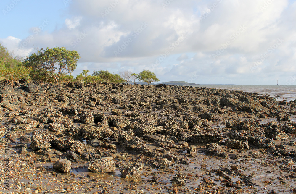 Obraz premium Rocky beach shoreline with mangrove trees under a partly cloudy sky