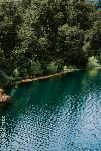 lake and forest