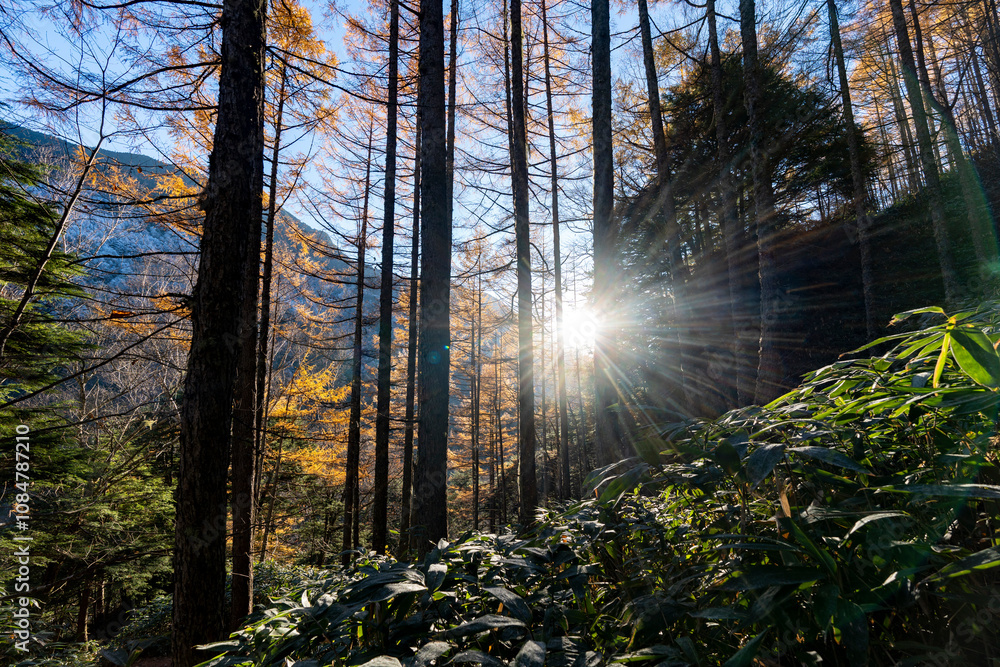 Obraz premium 初冬の燕岳 合戦尾根