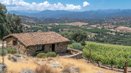 Wallpaper Mural Scenic Vineyard Landscape with Rustic Stone Cottage Surrounded by Lush Greenery and Rolling Hills under a Clear Blue Sky Torontodigital.ca