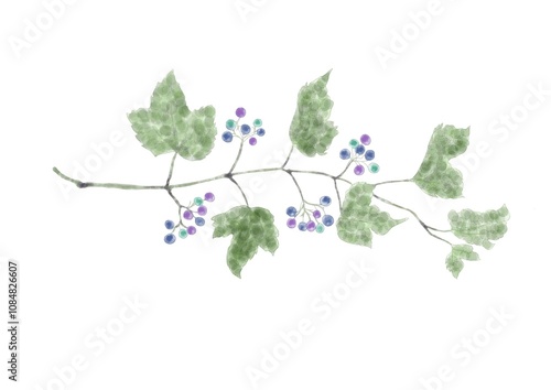 赤青紫の実をつけた秋の葉