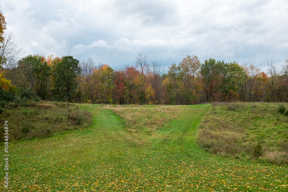 Naklejka premium A serene landscape featuring vibrant autumn foliage in a grassy valley with overcast skies in a rural setting during the fall season