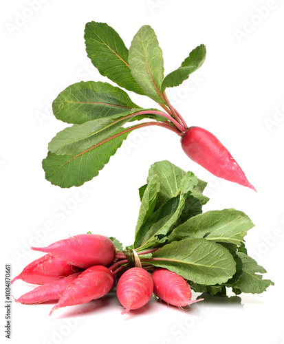 Fresh radishes isolated on white background 