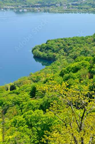 Lake Towada with fresh greenery, spring, Aomori Prefecture, Japan vertical  / 新緑の十和田湖 　春　青森県　日本 縦長 photo