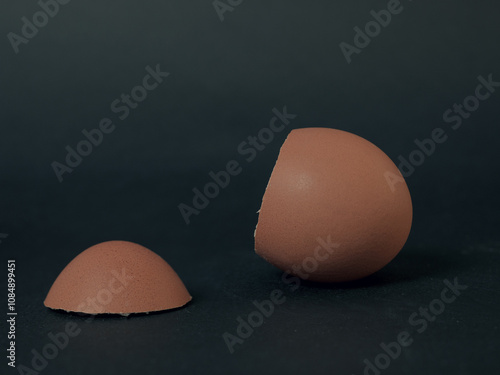 an egg cut off exactly