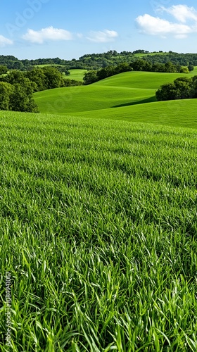 Lush Green Rolling Hills Landscape Farmland Nature Scenery Spring Summer