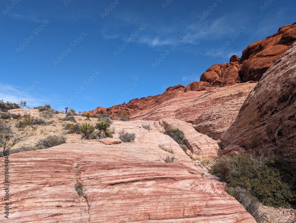 Fototapeta premium red rock canyon