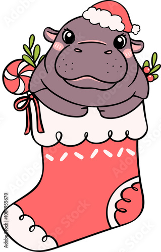 Christmas baby pygmy hippo in stocking