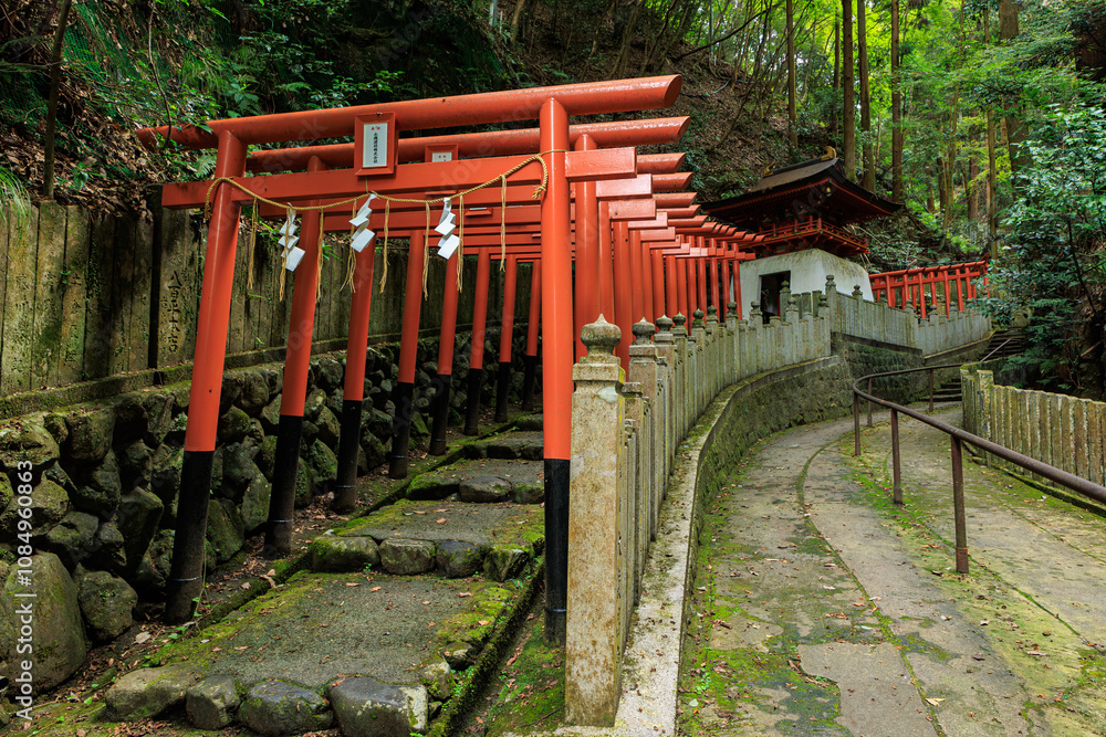 japanese gate of shinto shrine in kyoto japanese gate of shinto shrine in kyoto