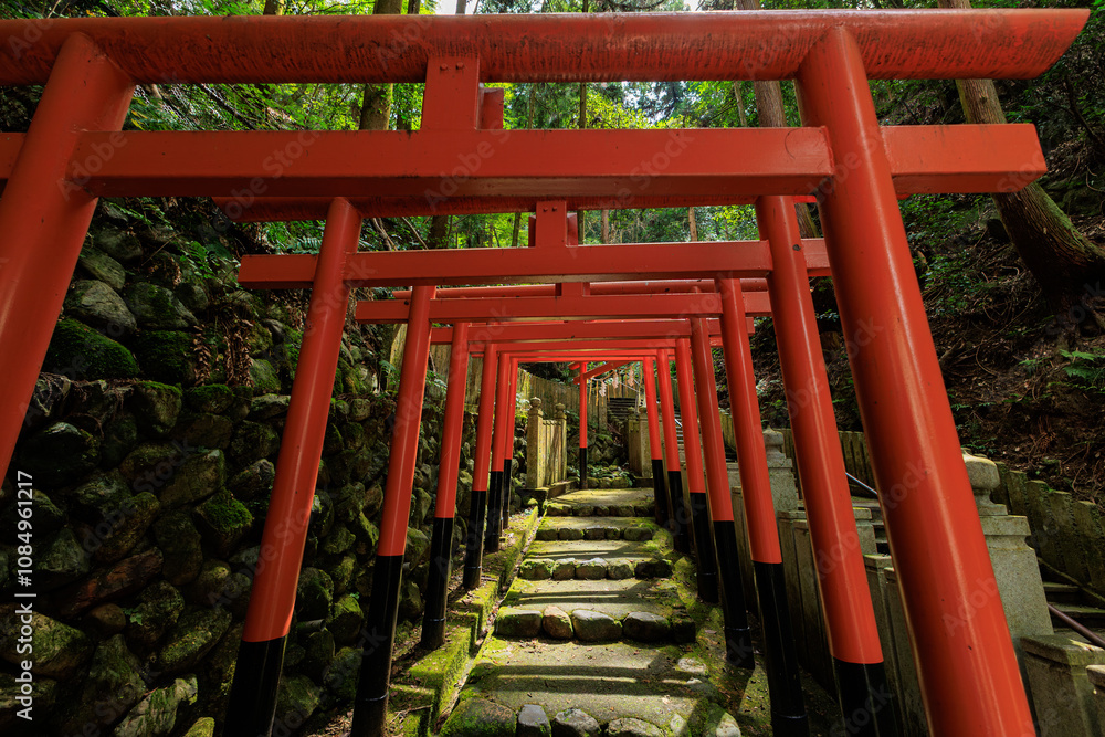 japanese gate of shinto shrine in kyoto japanese gate of shinto shrine in kyoto