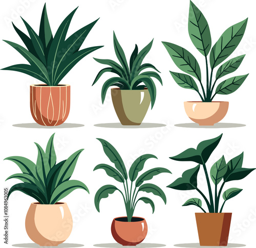 Set of trendy potted plants for home, office. Indoor plant in flowerpot. vector illustration flat design. photo