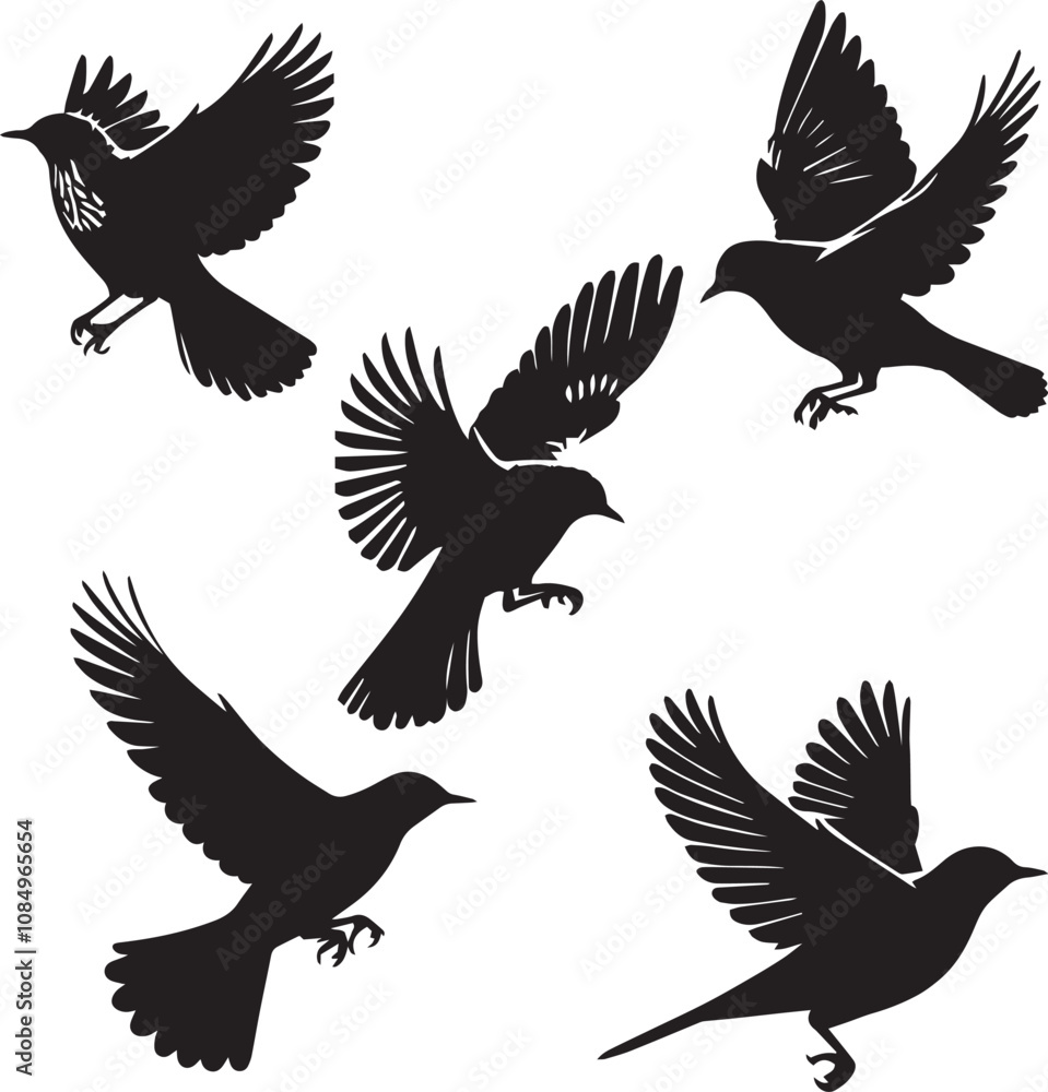 Fototapeta premium song thrush flying, black and white silhouette set 