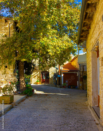 Street with trees in village Vouni in Cyprus