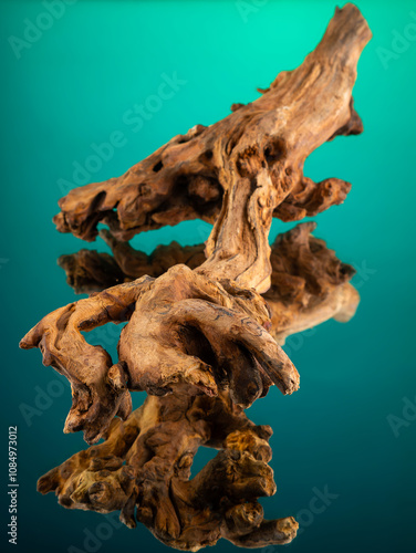 Close-up of wooden driftwood of intricate complex shape for interior decoration on mirror surface on green background