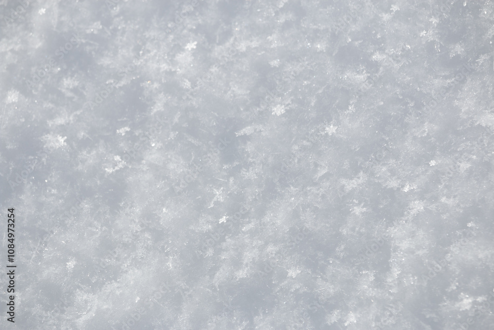 Obraz premium Close up of coarse grainy fresh white snow flake crystals surface in winter