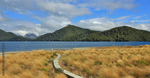 Green Lake and gangplank in the Fjordland National Park, New Zealand. photo