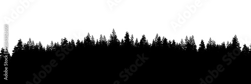 3d rendering of the dense pine forest silhouette on transparent background. Wide seamless nature panorama landscape cutout