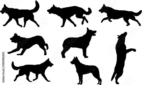 vector, isolated black silhouette of a dog