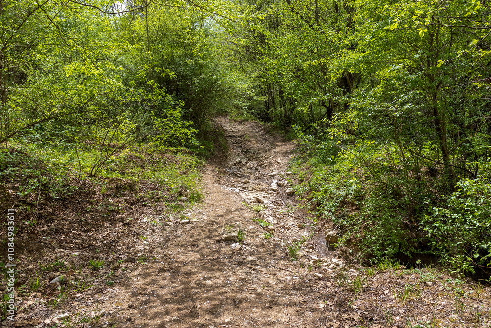 nature park , a walk along the riverbed with an overview of the stone bottom and banks nature park , a walk along the riverbed with an overview of the stone bottom and banks