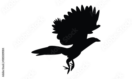 Crow Pheasant Silhouette Design  And Vector Illustration. 