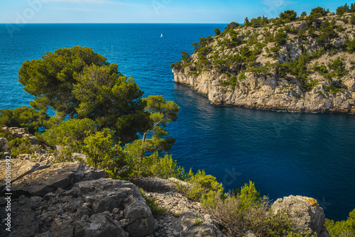 Magnificient Calanque de Port Pin bay view, Cassis, Marseille, France