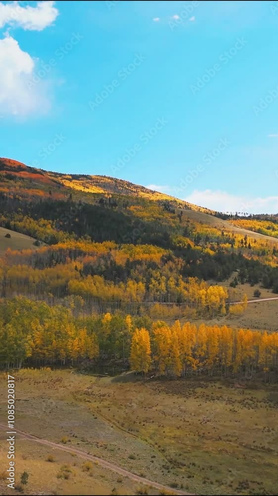 Drone flight over an alpine meadow filled with golden aspens in early autumn. 9:16 aspect ratio for mobile phone screen. Drone flight over an alpine meadow filled with golden aspens in early autumn. 9:16 aspect ratio for mobile phone screen.