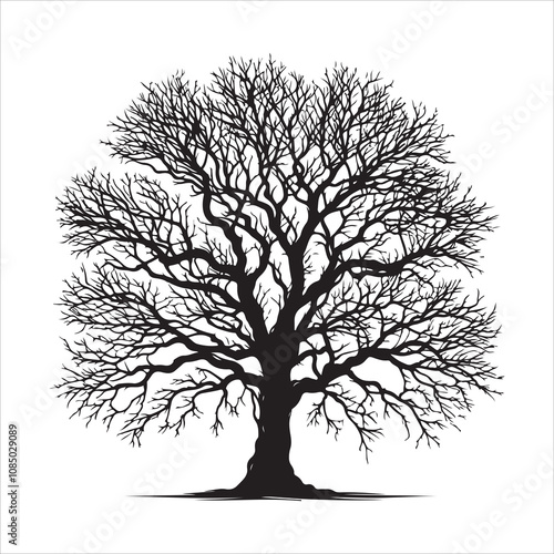 Bare tree vector. Silhouette of a dead tree vector icon. Bare dead tree silhouette isolated on a white background