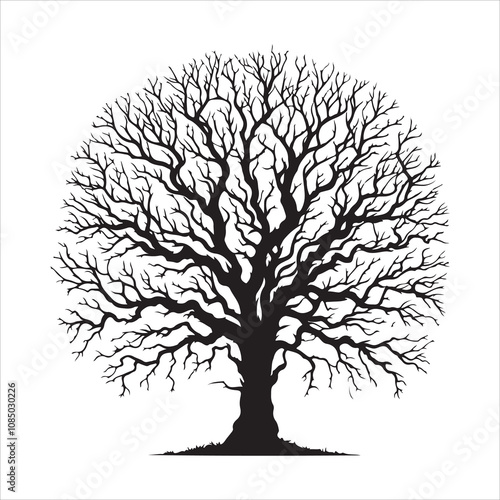 Bare tree vector. Silhouette of a dead tree vector icon. Bare dead tree silhouette isolated on a white background