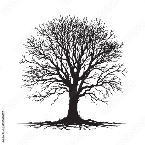 Bare tree vector. Silhouette of a dead tree vector icon. Bare dead tree silhouette isolated on a white background