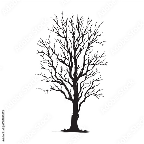 Bare tree vector. Silhouette of a dead tree vector icon. Bare dead tree silhouette isolated on a white background