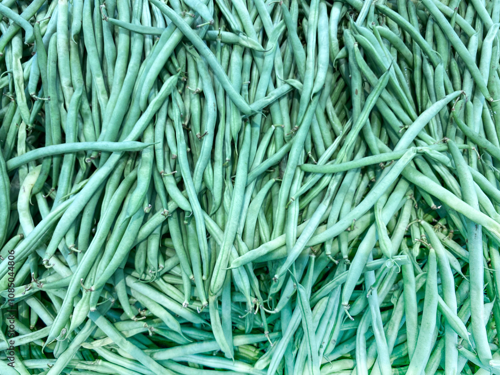 green beans, collection green beans, background,wallpaper. green beans, collection green beans, background,wallpaper.