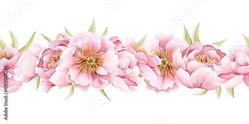 Garden peonies flowers bouquet watercolor seamless border isolated on white background. Delicate pastel pink roses for spring wedding horizontal banner and floral greeting card template